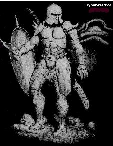 cyberwarrior