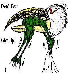 dontevergiveup
