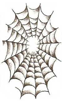 SPIDERWEB